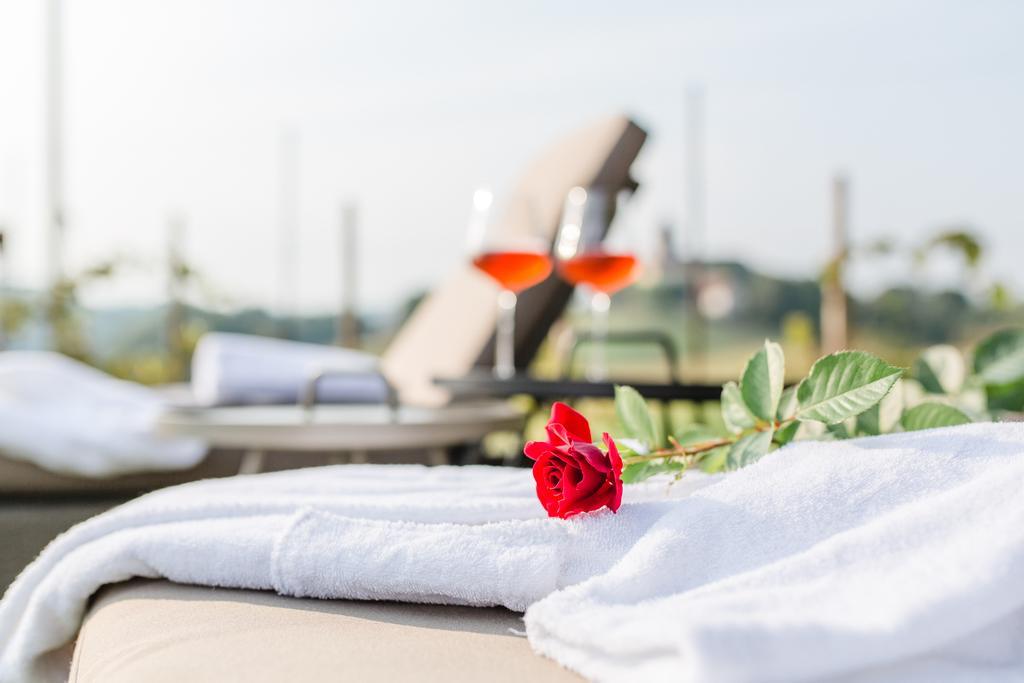 Wohnen Im Wein Apartman Ehrenhausen Kültér fotó