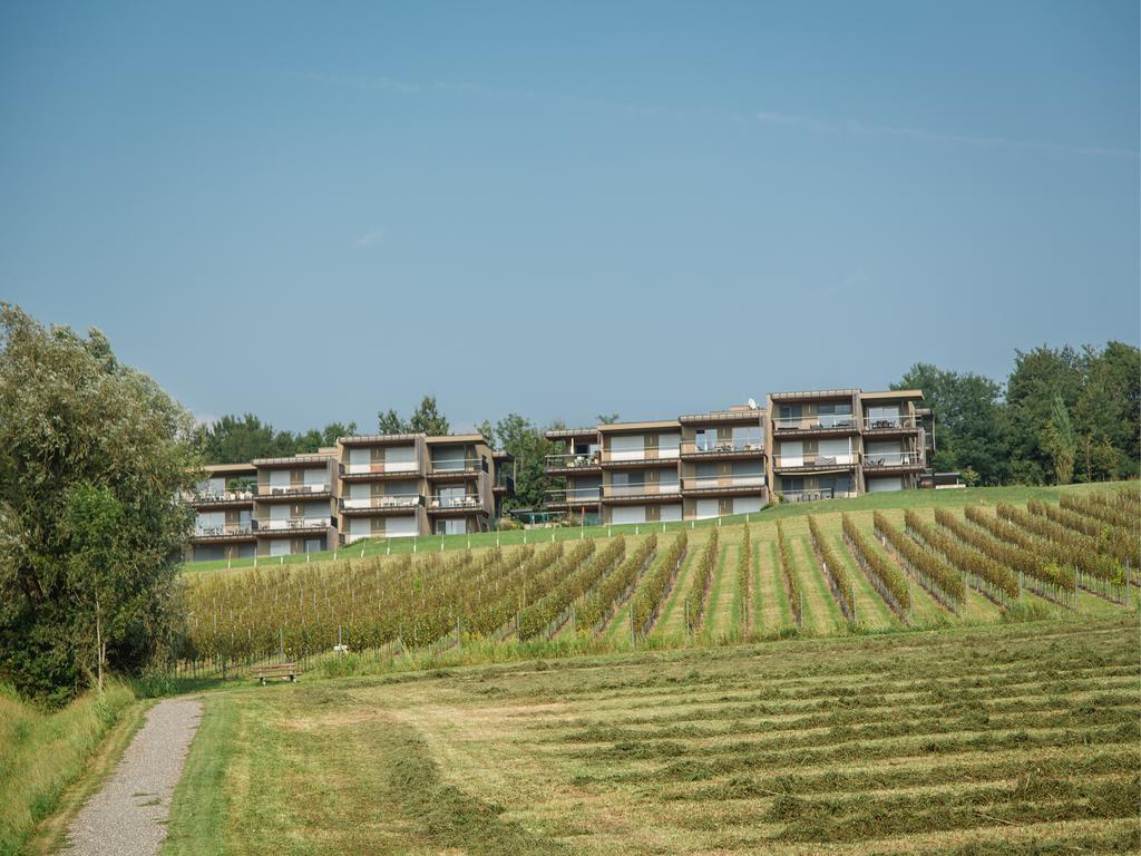 Wohnen Im Wein Apartman Ehrenhausen Kültér fotó
